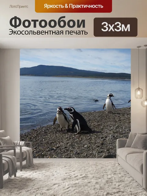 Фотообои Пингвины