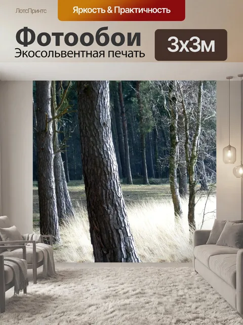 Фотообои Лес