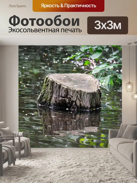 Фотообои Пень