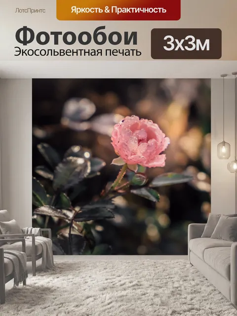 Фотообои Роза