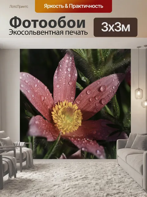 Фотообои Цветок