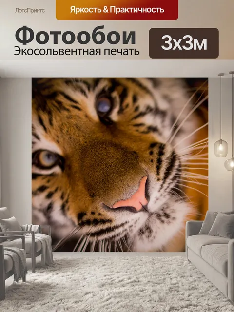 Фотообои Дикий тигр, Африка