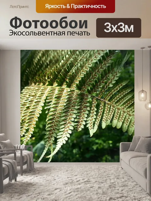 Фотообои Лист папоротника