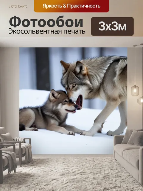 Фотообои играет с волчонком