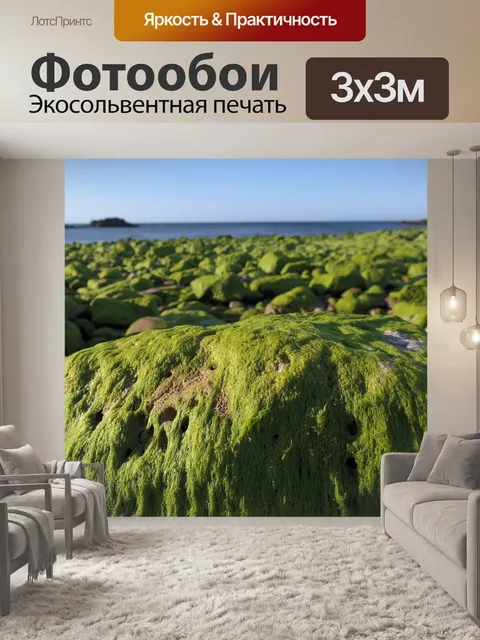 Фотообои Водоросли