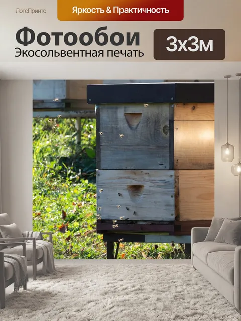Фотообои Ул