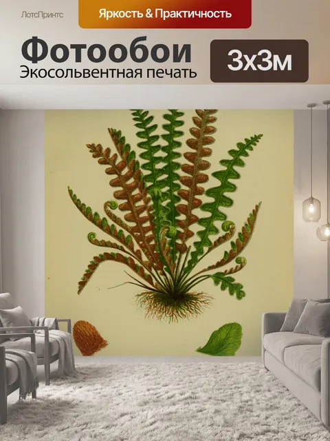 Фотообои Листья папоротника Селезенка Винтаж