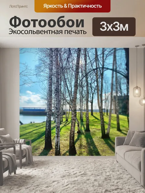Фотообои Береза