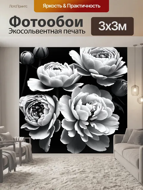 Фотообои пионы в черно-белом стиле