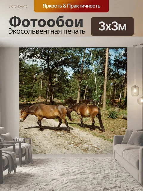 Фотообои Лошади в парке