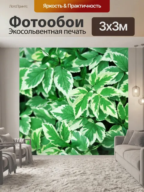Фотообои Листья