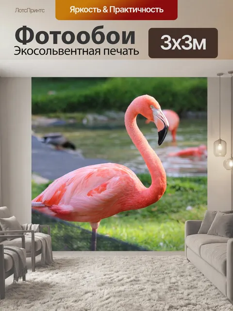 Фотообои Фламинго