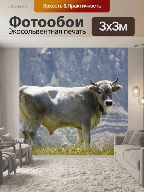 Фотообои Бык