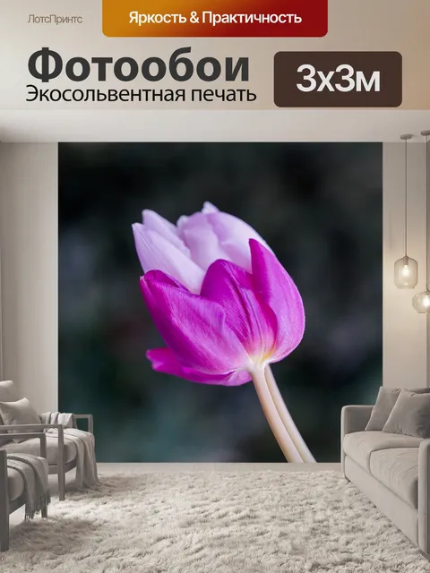 Фотообои Два тюльпана