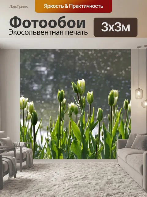 Фотообои Тюльпаны