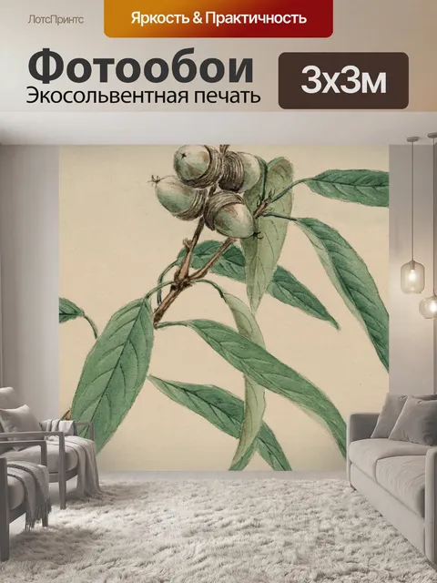 Фотообои Желудь