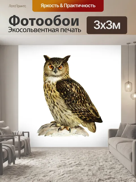 Фотообои Винтаж Клипарт Сова Филин