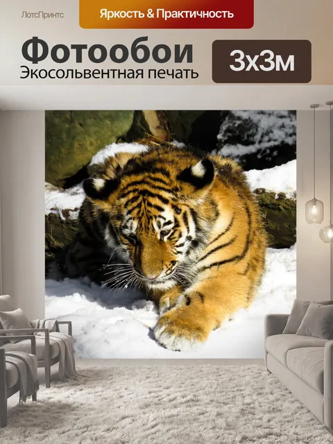 Фотообои Тигр