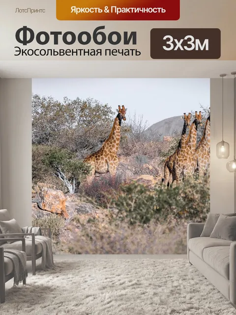 Фотообои Жирафа