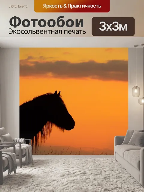 Фотообои Лошадь
