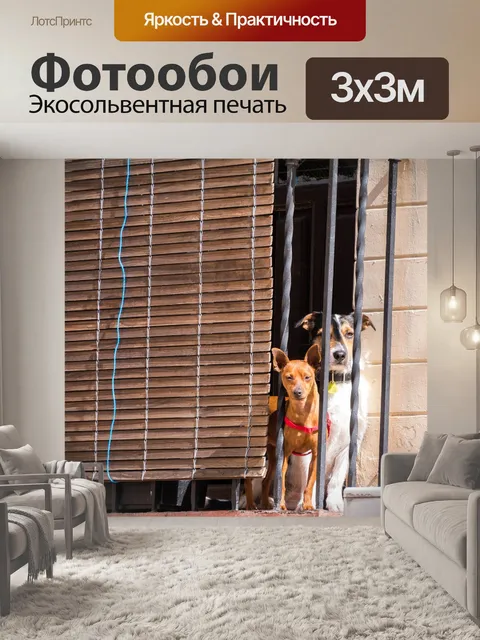 Фотообои Собака