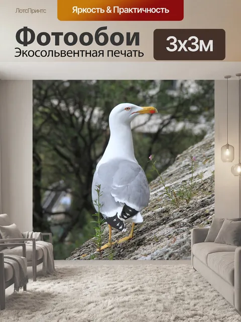 Фотообои Seagull