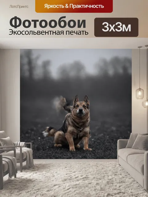 Фотообои its roots penetrate the icy surface, and the water beneath the ice sparkles
