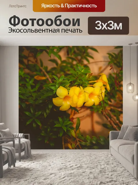 Фотообои Цветок