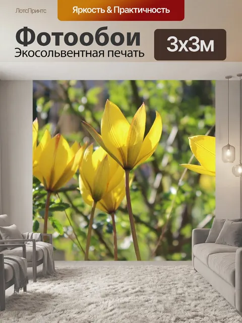 Фотообои Дикие тюльпаны