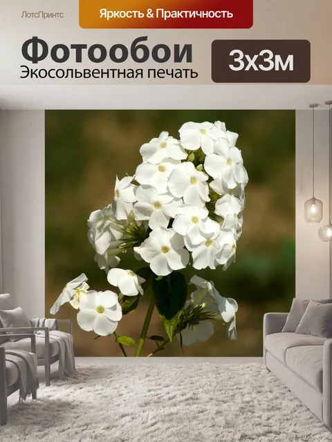 Фотообои Цветок