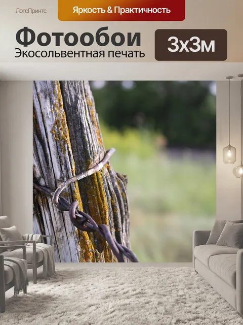 Фотообои Колючая проволока