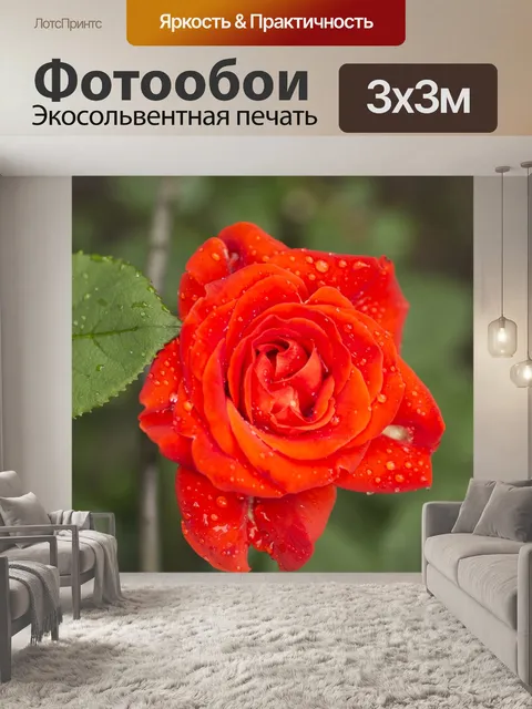 Фотообои Beautiful