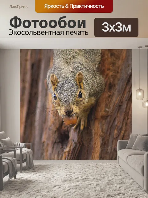 Фотообои Белка