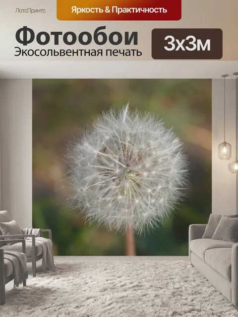 Фотообои Трава