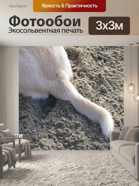 Фотообои Собака