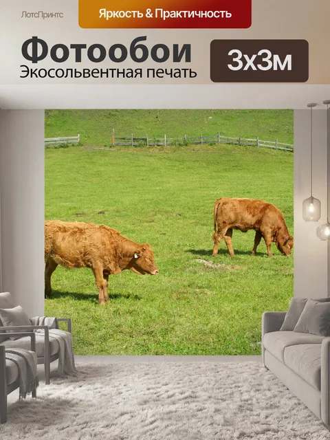 Фотообои Коричневые телята