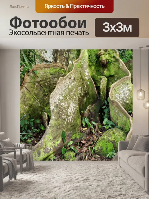 Фотообои Heritiera littoralis Roots
