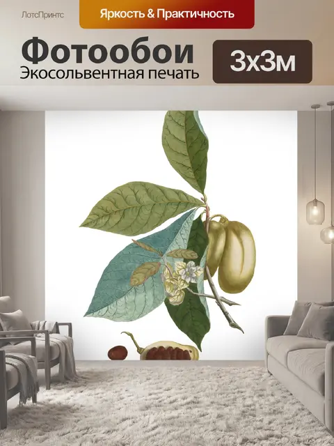 Фотообои Яблоко Фрукты Старинное Искусство