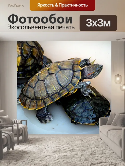 Фотообои Черепахи