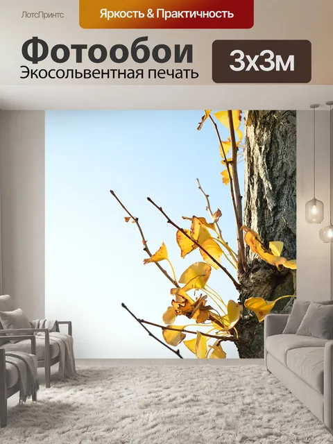 Фотообои Япония