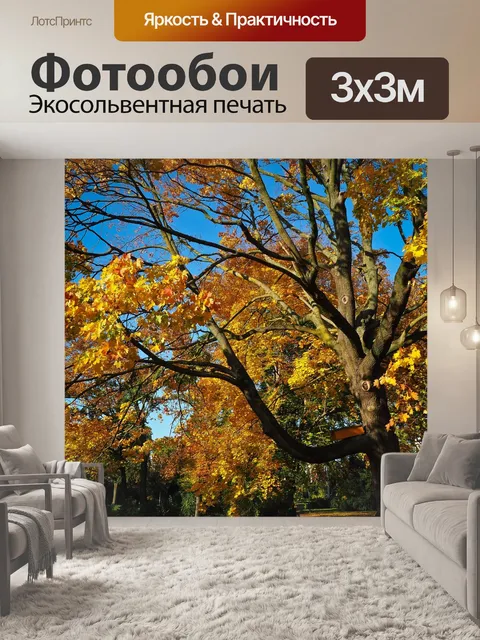Фотообои Падение