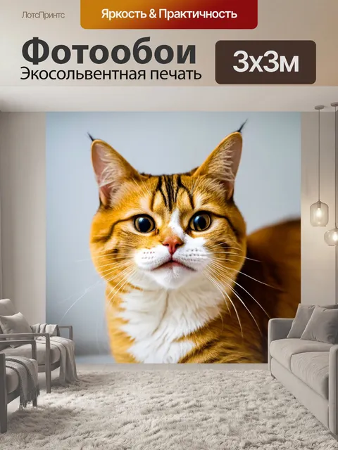 Фотообои кот, подмигивающий в камеру с лукавой улыбкой