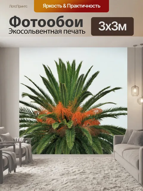 Фотообои финиковая пальма, декоративные