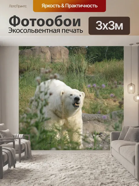 Фотообои Полярный медведь