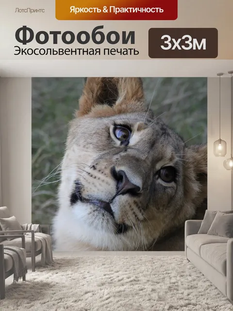 Фотообои Лев