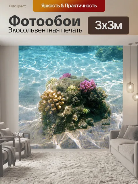 Фотообои Коралловый риф