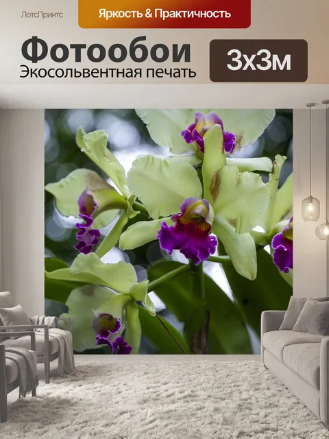 Фотообои Орхидеи