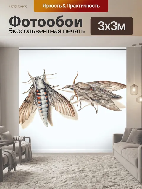 Фотообои Бабочки винтаж искусство старый