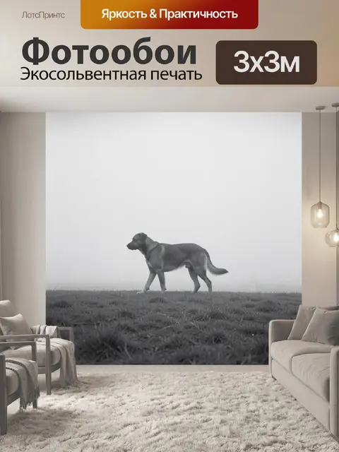 Фотообои Собака на прогулке в тумане