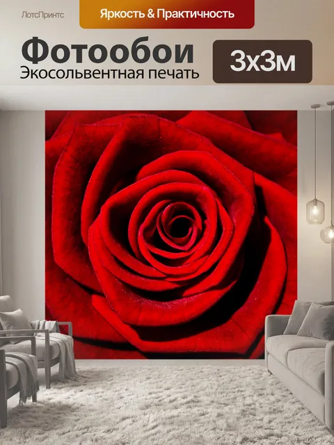 Фотообои Красная роза